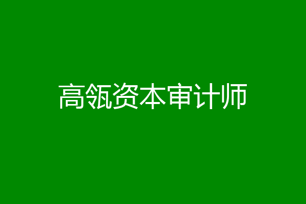 高瓴资本审计师