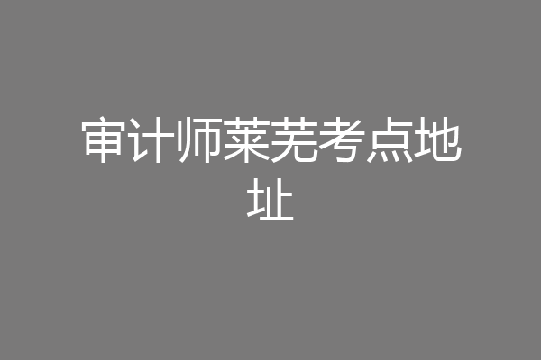 审计师莱芜考点地址