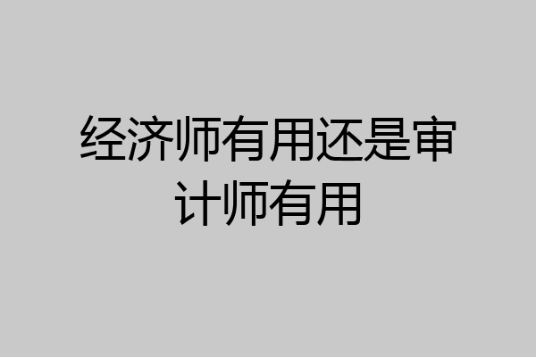 经济师有用还是审计师有用