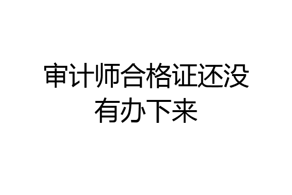 审计师合格证还没有办下来