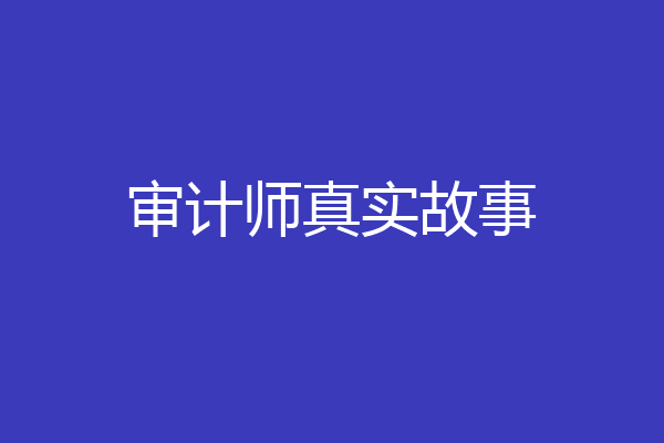 审计师真实故事