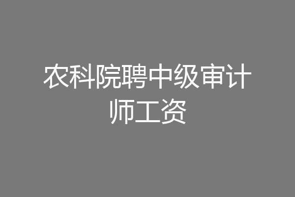 农科院聘中级审计师工资