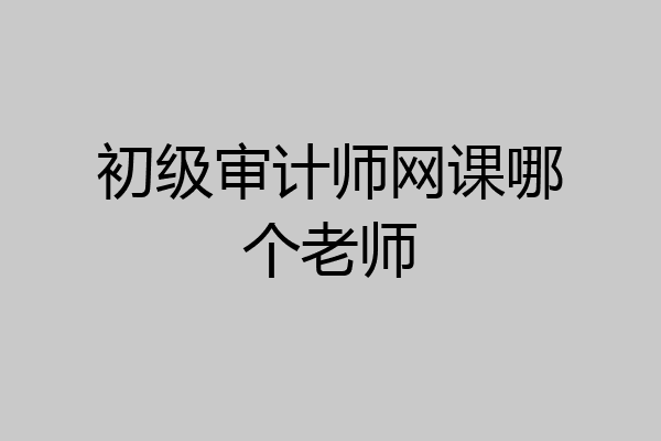 初级审计师网课哪个老师
