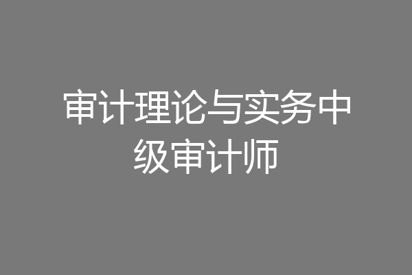 审计理论与实务中级审计师