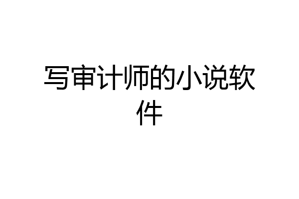 写审计师的小说软件