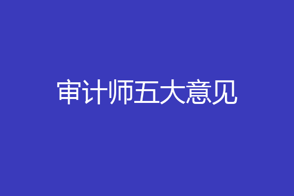 审计师五大意见