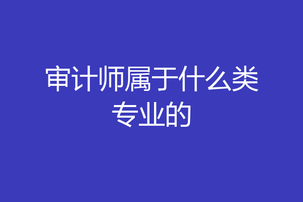 审计师属于什么类专业的