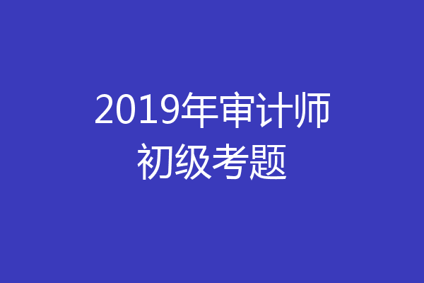 2019年审计师初级考题