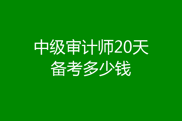 中级审计师20天备考多少钱
