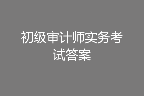 初级审计师实务考试答案
