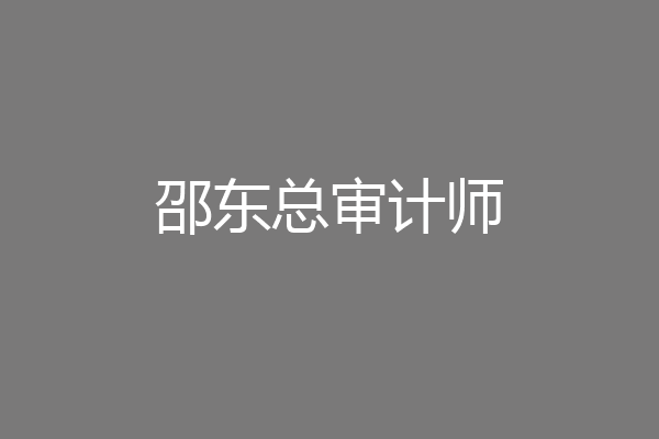 邵东总审计师