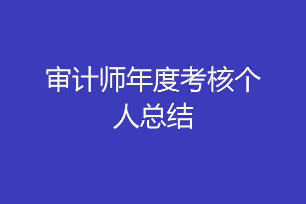 审计师年度考核个人总结
