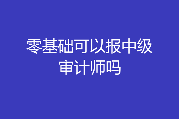 零基础可以报中级审计师吗