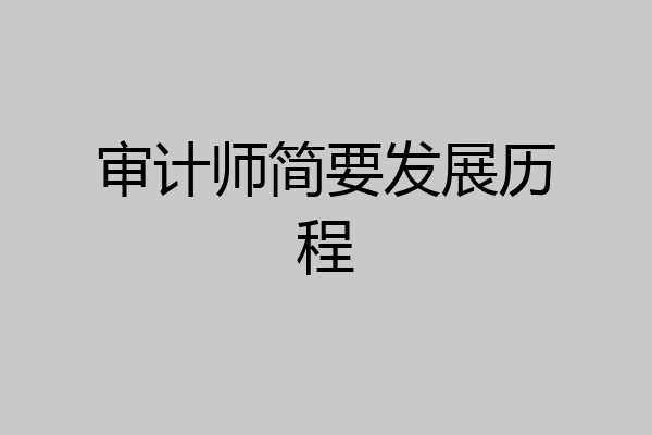 审计师简要发展历程