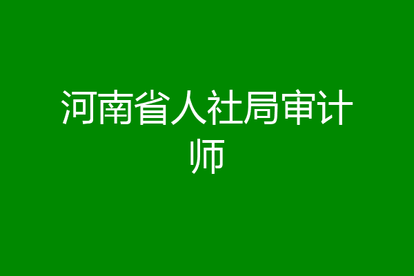 河南省人社局审计师