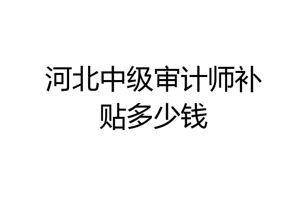 河北中级审计师补贴多少钱