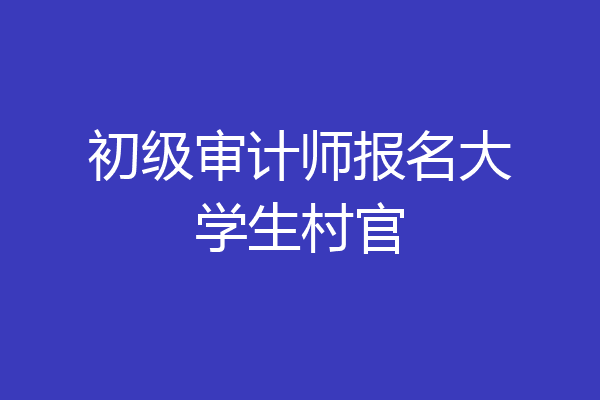 初级审计师报名大学生村官