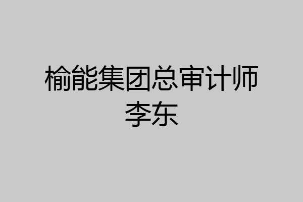 榆能集团总审计师李东