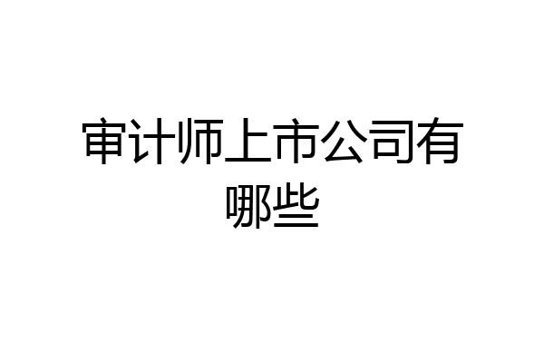 审计师上市公司有哪些