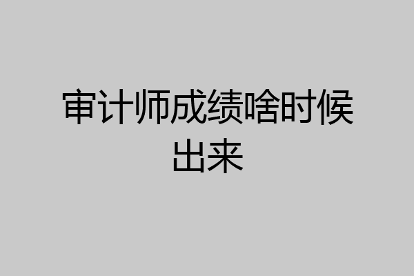 审计师成绩啥时候出来