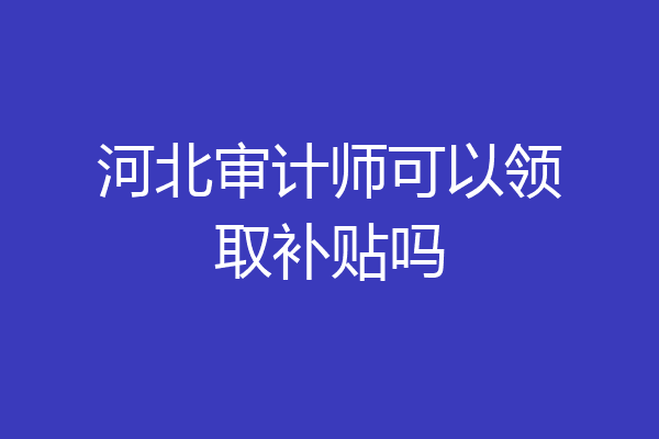 河北审计师可以领取补贴吗