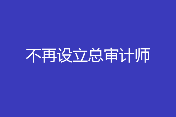 不再设立总审计师
