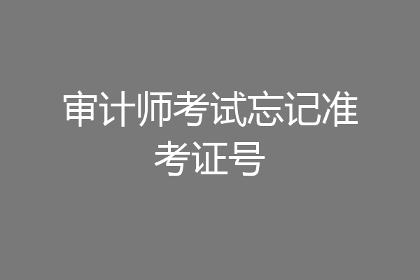 审计师考试忘记准考证号
