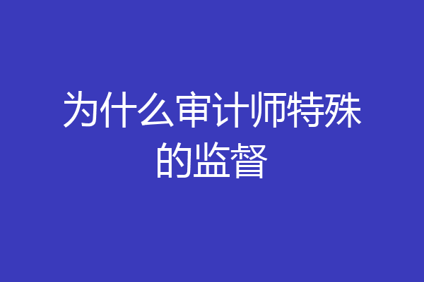 为什么审计师特殊的监督