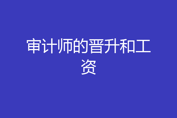 审计师的晋升和工资