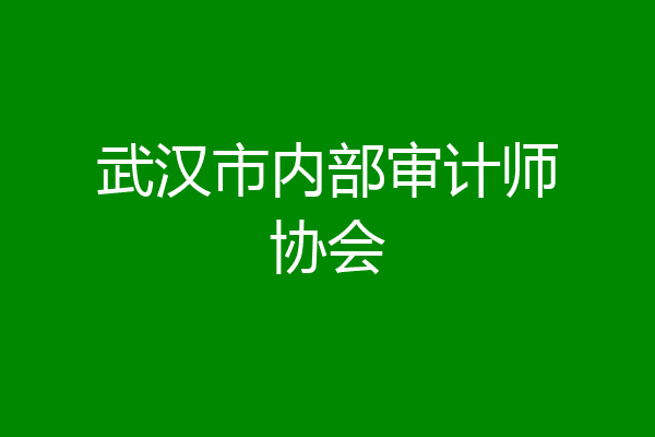 武汉市内部审计师协会