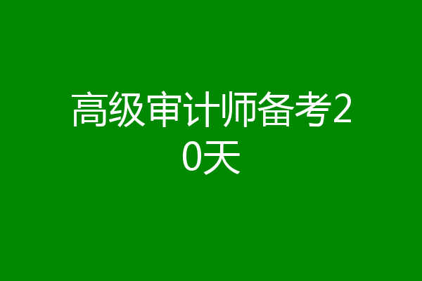 高级审计师备考20天