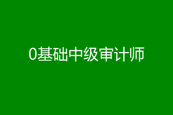 0基础中级审计师