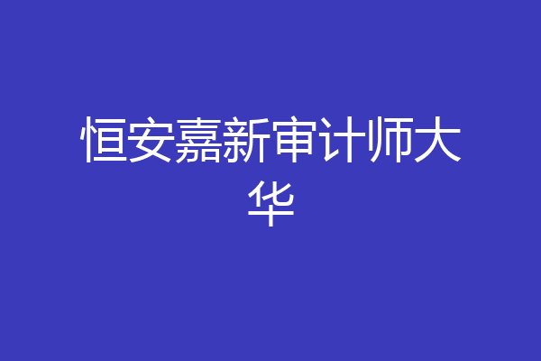 恒安嘉新审计师大华