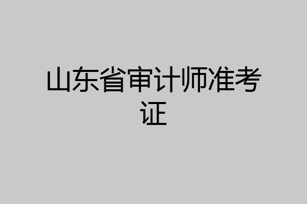 山东省审计师准考证