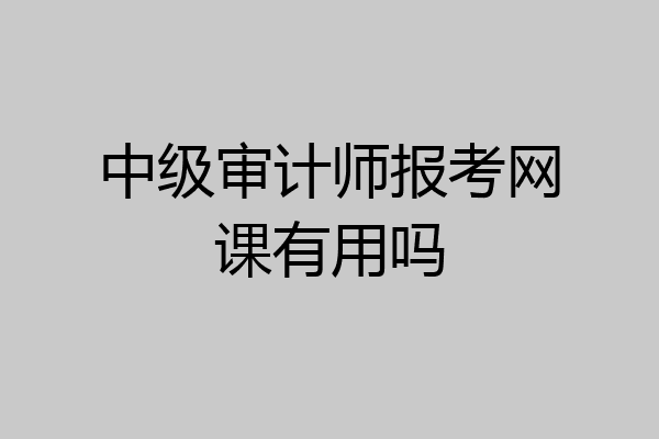 中级审计师报考网课有用吗