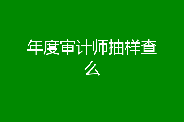 年度审计师抽样查么