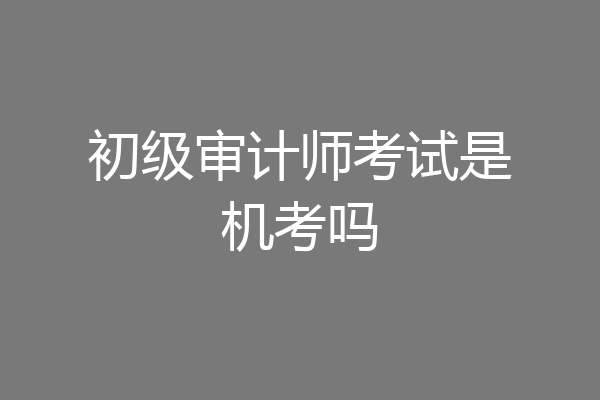 初级审计师考试是机考吗