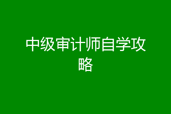 中级审计师自学攻略