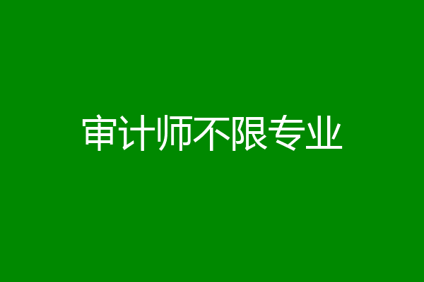 审计师不限专业