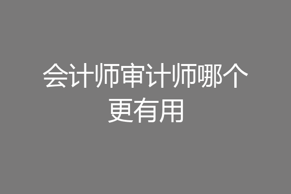 会计师审计师哪个更有用
