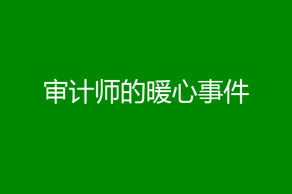 审计师的暖心事件