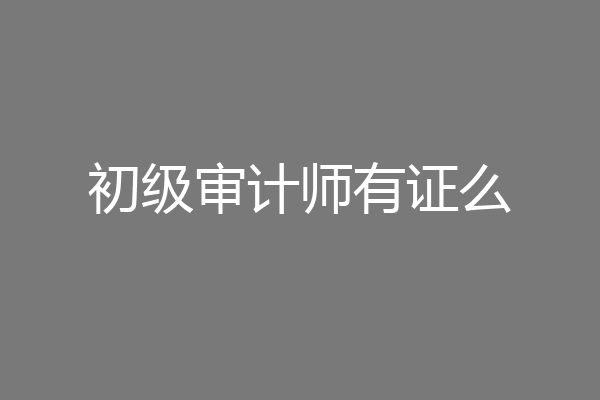 初级审计师有证么