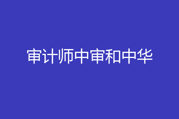 审计师中审和中华