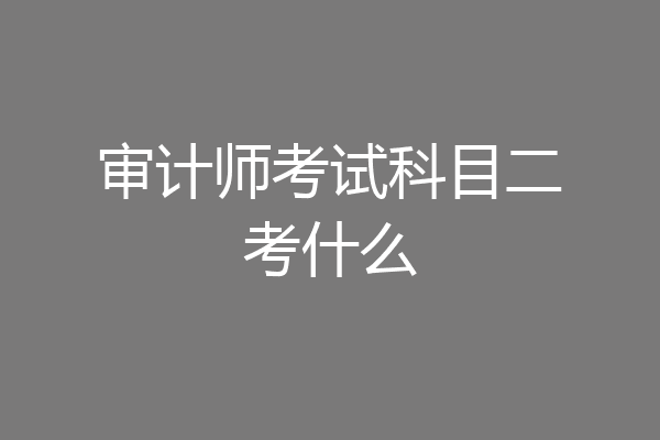 审计师考试科目二考什么