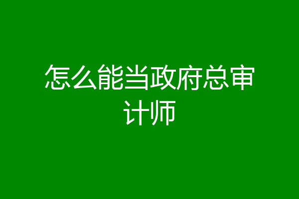 怎么能当政府总审计师
