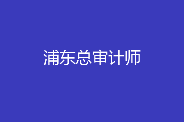 浦东总审计师