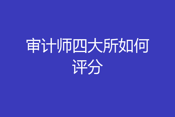 审计师四大所如何评分
