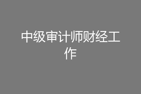 中级审计师财经工作