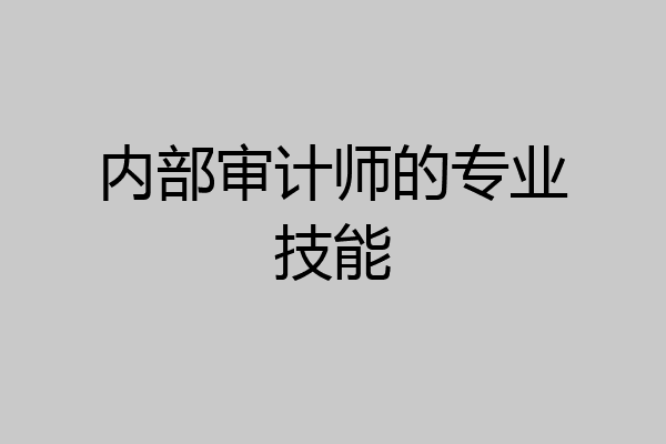 内部审计师的专业技能