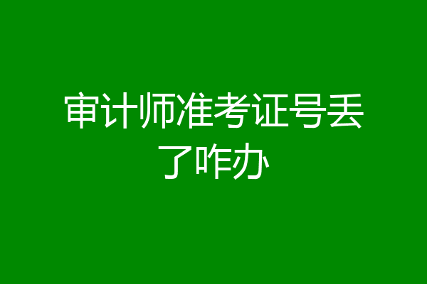 审计师准考证号丢了咋办